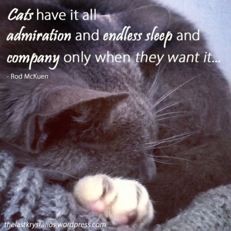 Cats have it all – admiration and endless sleep and company only when they want it - Rod McKuen - The Last Krystallos