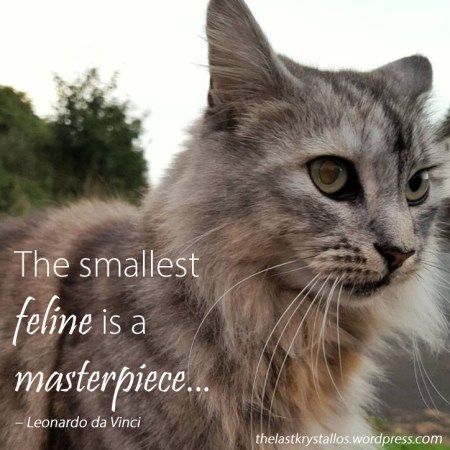 The smallest feline is a masterpiece - Leonardo da Vinci - The Last Krystallos - Photo Bekah Shambrook