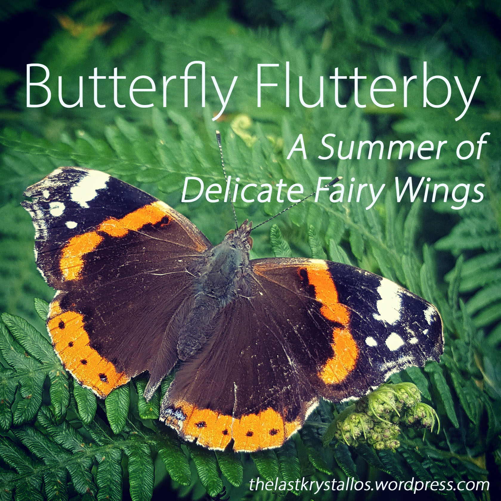 Butterfly Flutterby - A Summer of Delicate Fairy Wings - The Last Krystallos