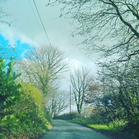 Coping-with-Alzheimer's-Home-The-Last-Krystallos