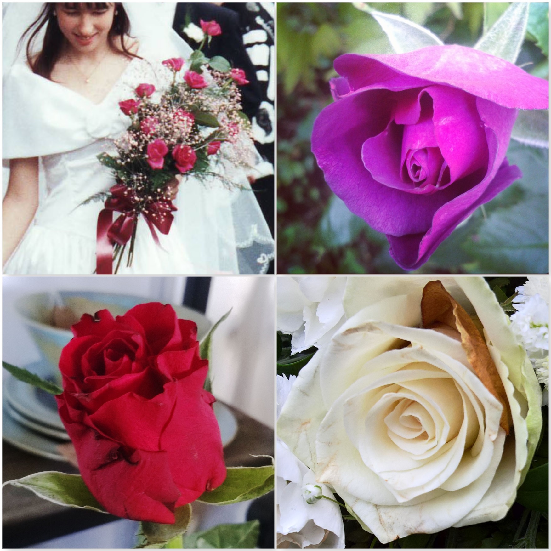 Wedding-Jacaranda-Garden-Valentine-Funeral-The-Last-Krystallos