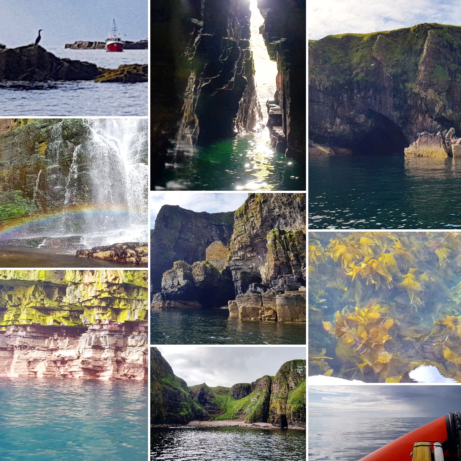 Caithness Seacoast Wick Coast - Fulmars and Scarfies and Seal - The Last Krystallos