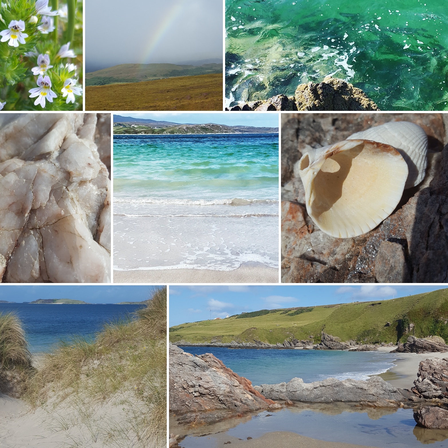 Coldbackie - The Last Krystallos