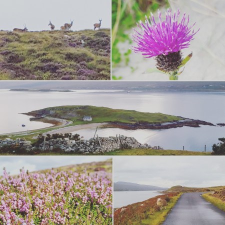 Deer - Thistle - Loch Eriboll - Heather - Sheep - The Last Krystallos