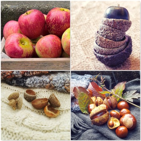 Loving Autumn - Fruits Acorns Conkers Apples - The Last Krystallos