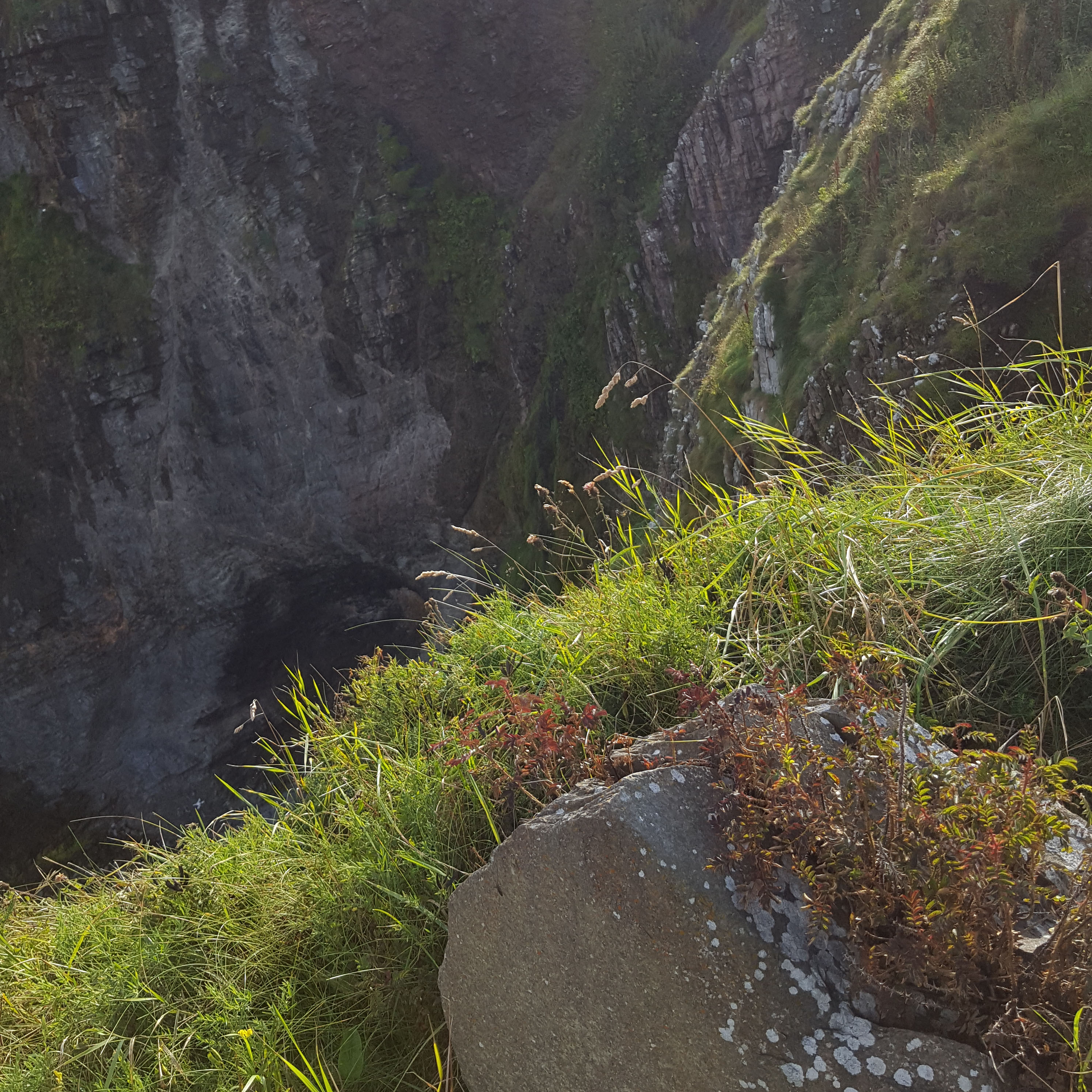 Understanding Depression - The Truths and Myths - The Last Krystallos - Clifftop