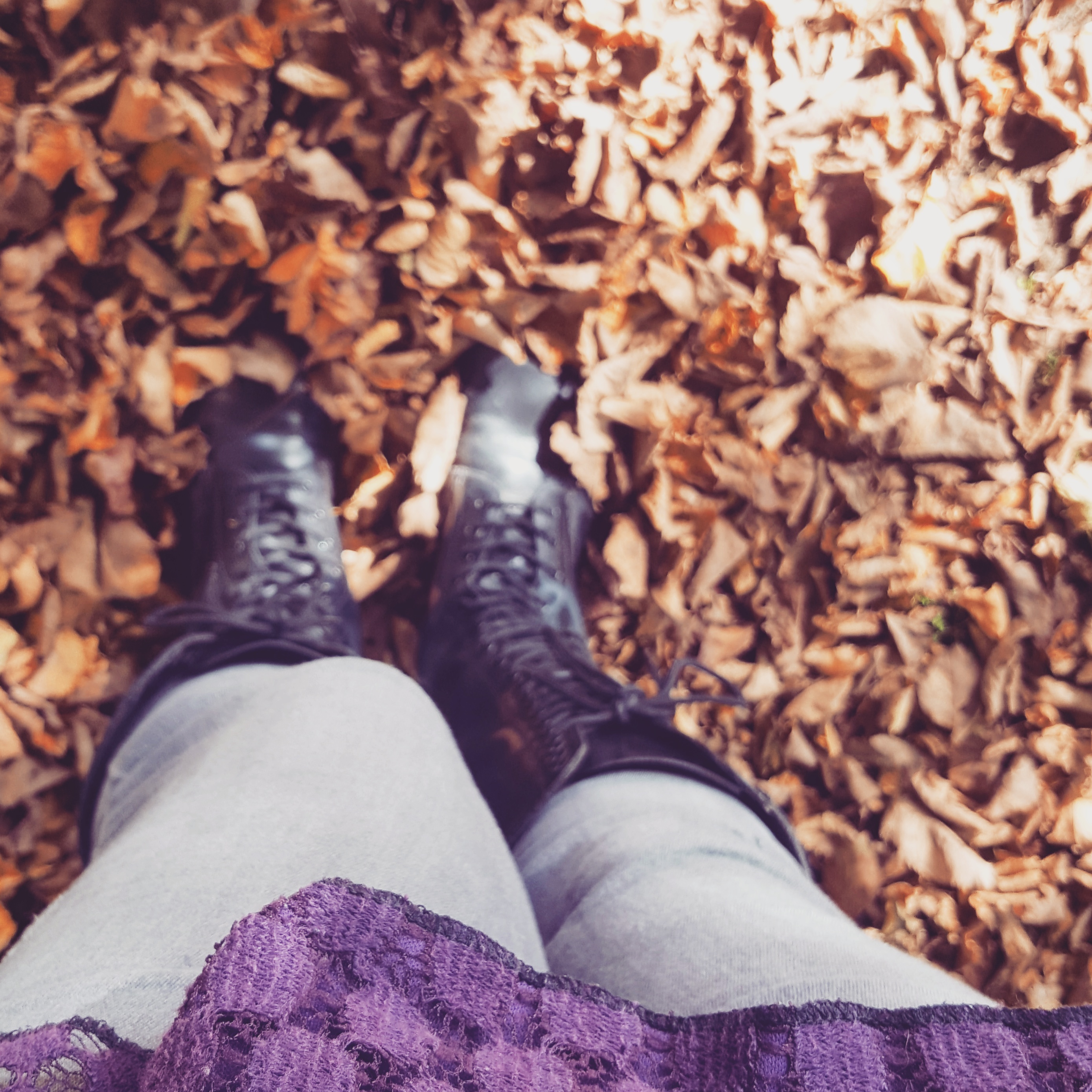 Autumn Leaves - Be Part of Autumn - The Last Krystallos