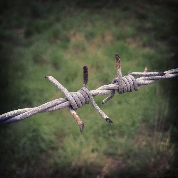 Conflict - Surviving Suicide - The Last Krystallos