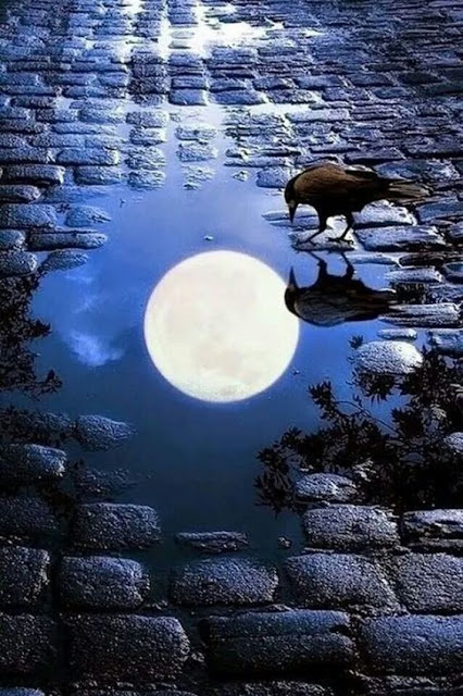 Mid-Week Flash Challenge - Wild Harbour