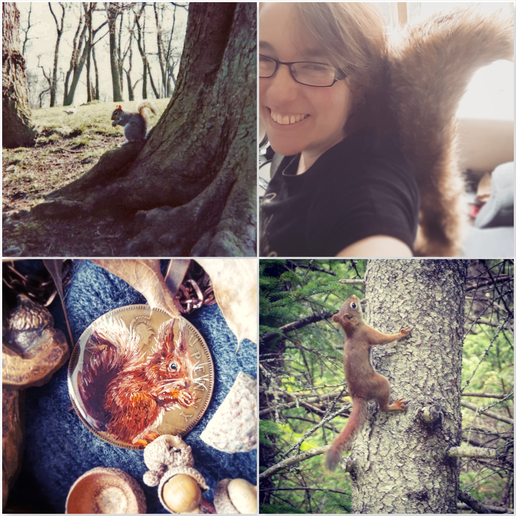 Squirrels - Be Part of Autumn - The Last Krystallos