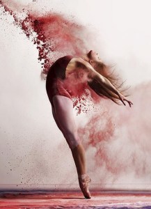 Mid-Week Flash Challenge - Blades - Photograph Andy Bate