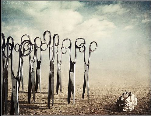 Mid-Week Flash Challenge - Blades - Photograph Sarolta Ban