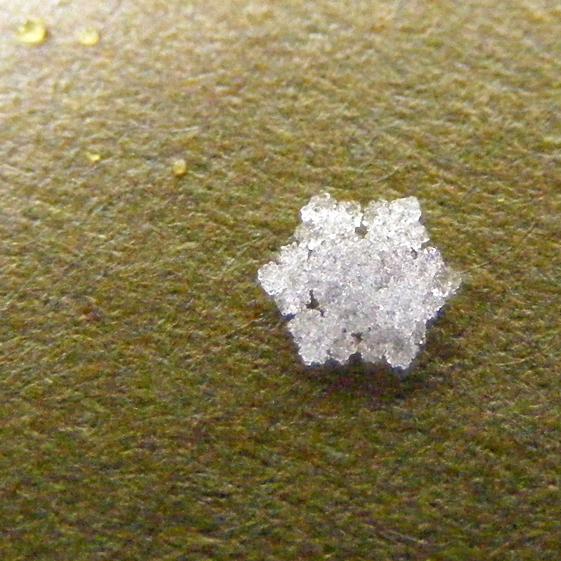 tiny snowflake beginning to melt