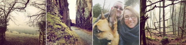 Misty Meadow - Pen y Bont Elan Valley - Local Dog Walking - Brechfa Forest - The Last Krystallos