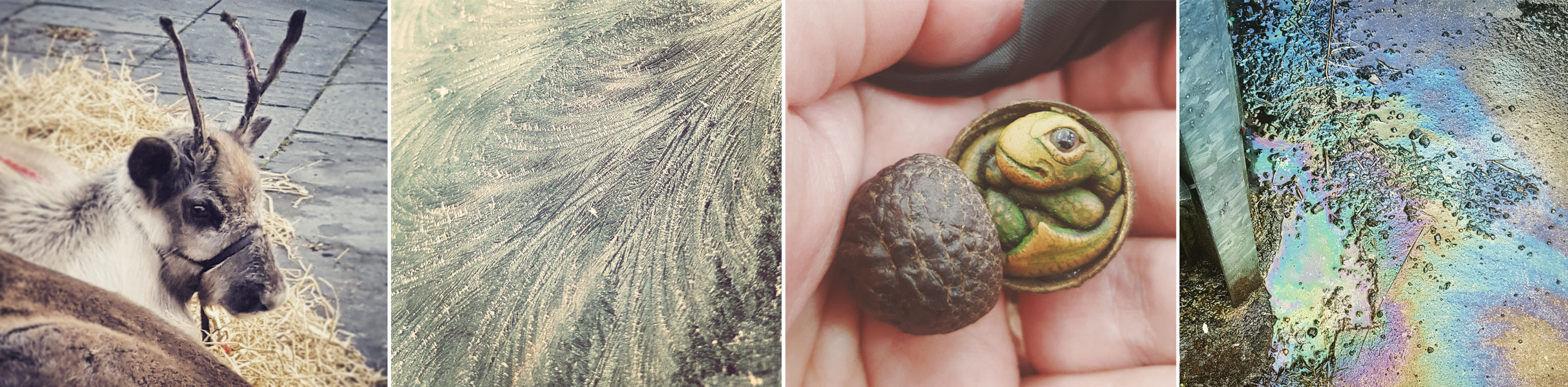 Reindeer - Jack Frost - Baby Dragon - Oil Rainbow - The Last Krystallos