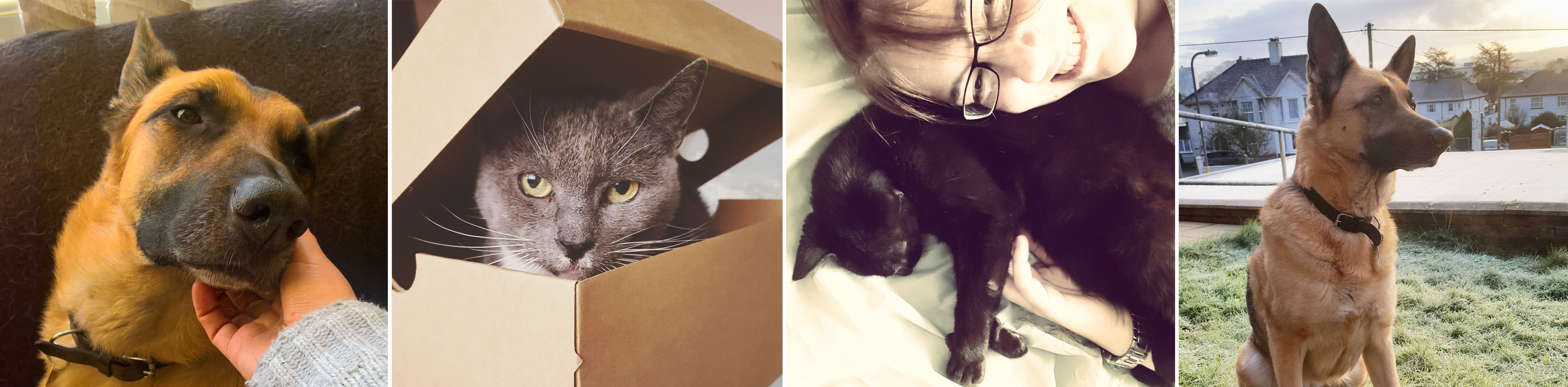 Roxy - Raven - Misty - Roxy - The Last Krystallos