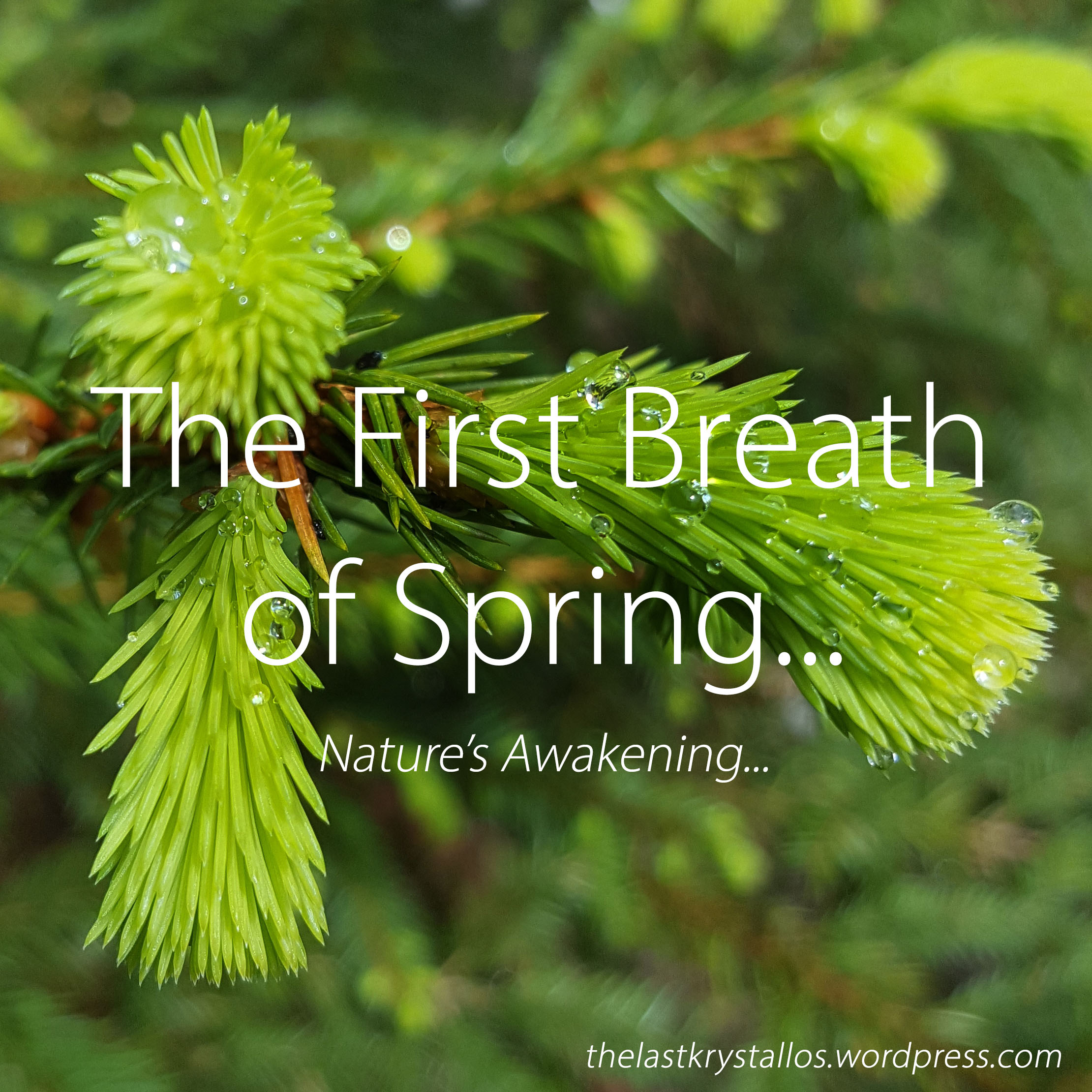 The First Breath of Spring - The Last Krystallos