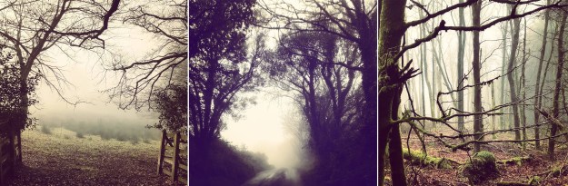 Misty November - The Last Krystallos