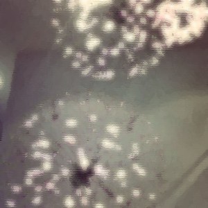 Filtered Christmas Lights