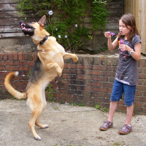 Cait 10, and Roxy 2, bubbles Aug 2010 - thelastkrystallos