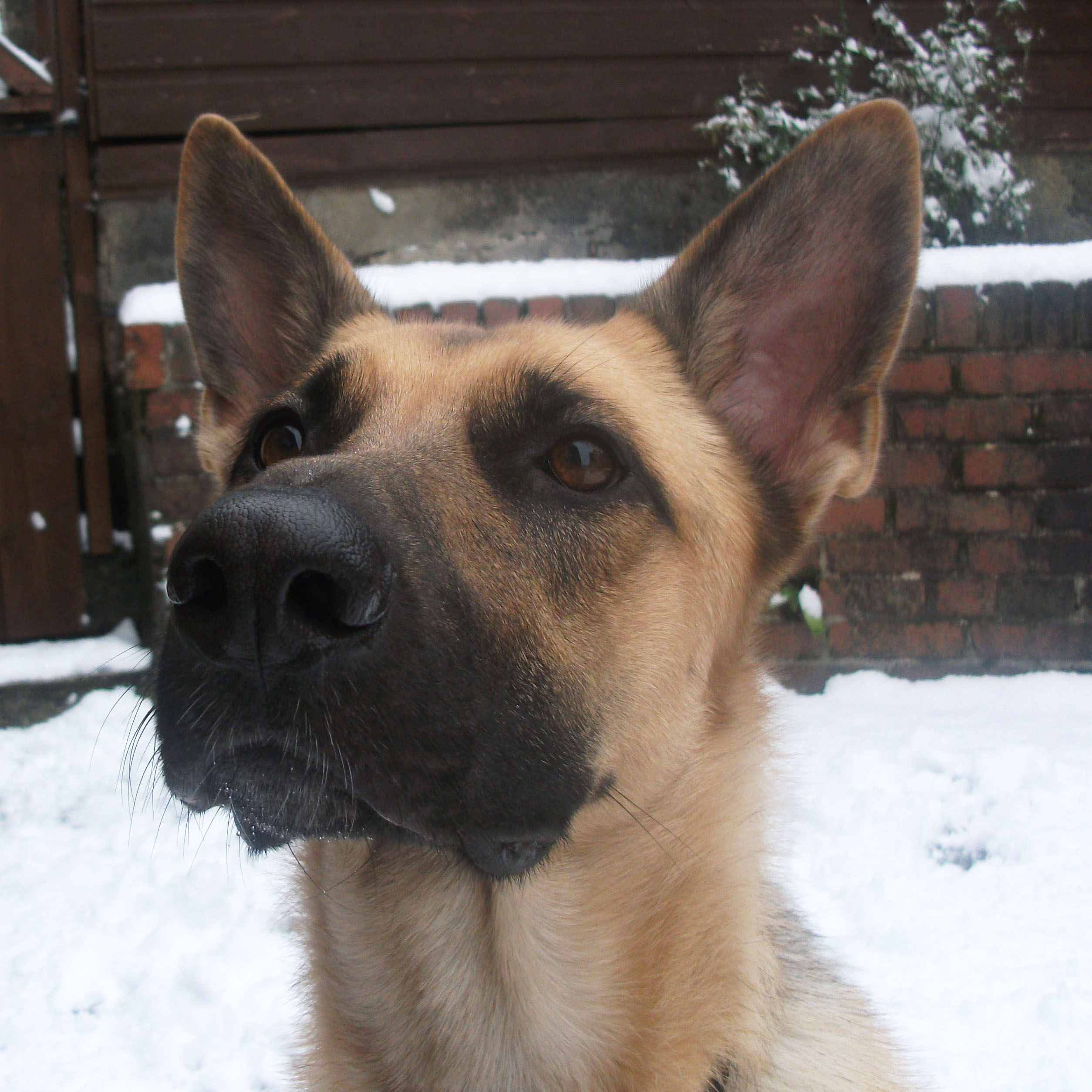 Roxy 2, Dec 2010 - thelastkrystallos