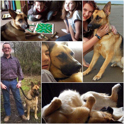 Roxy 2010 - 2012 2-4 years - thelastkrystallos