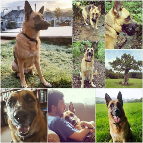 Roxy 2017 - 2018 8 - 10 years - thelastkrystallos