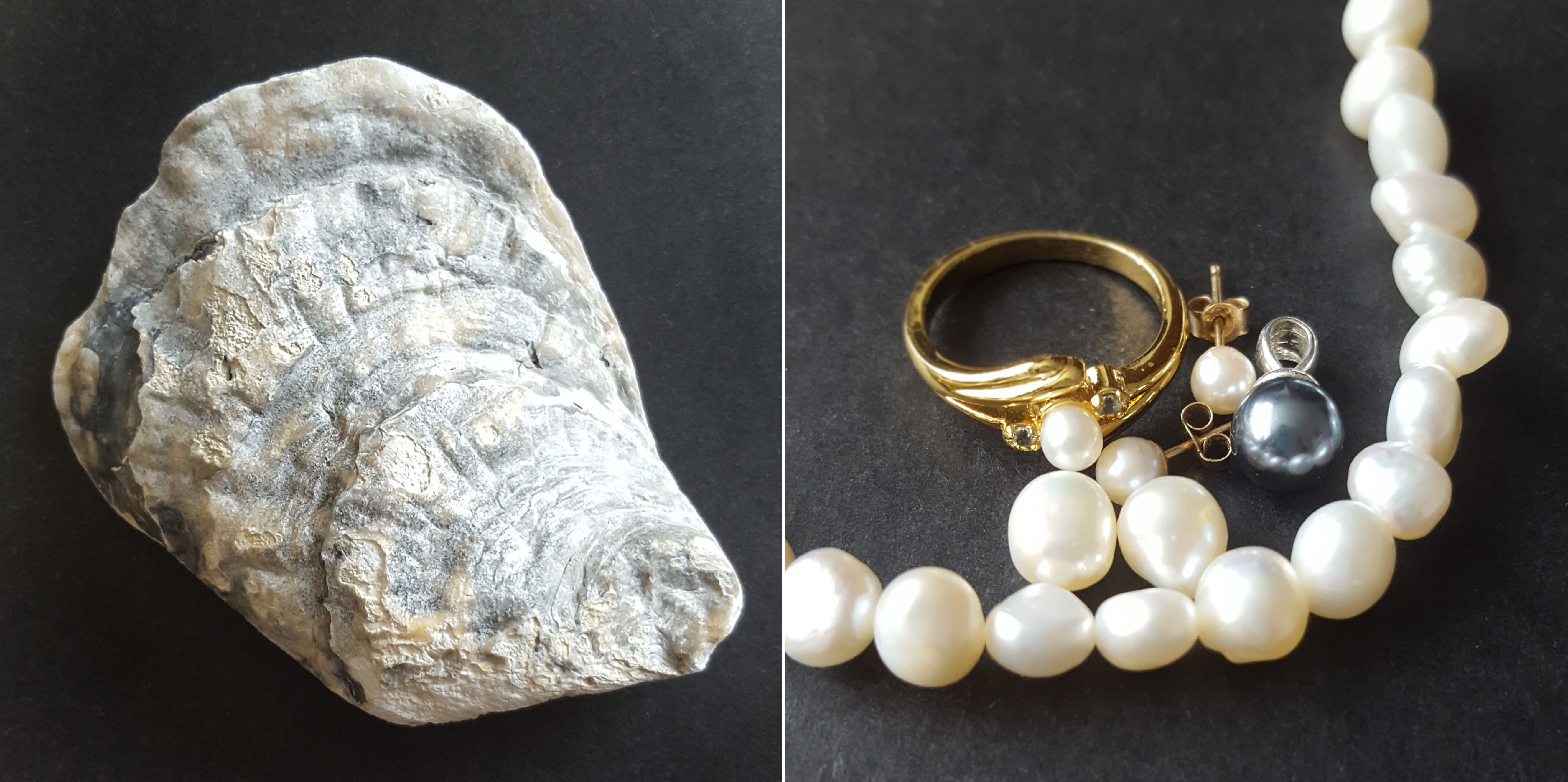 June - Pearl - Oyster