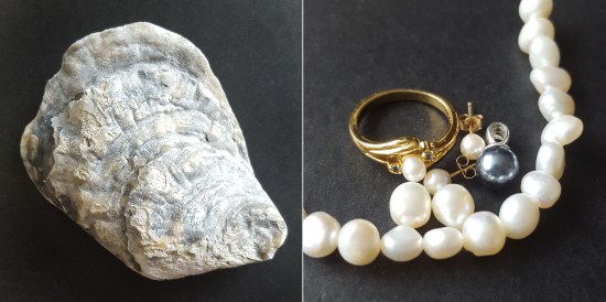 June - Pearl - Oyster