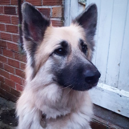 Finding Kira GSRE - the last krystallos