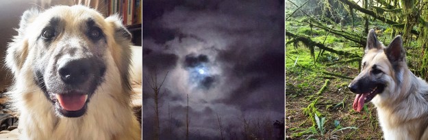 Kira - Snow Moon - Kira - The Last Krystallos