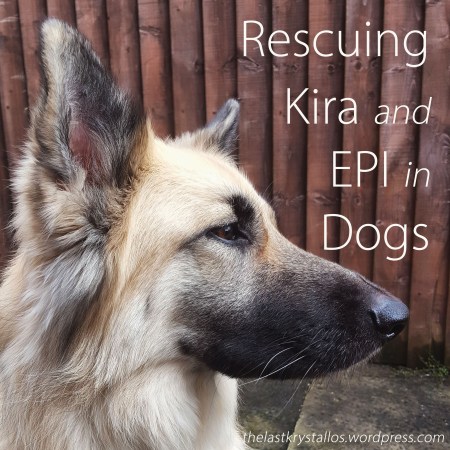 Rescuing Kira and EPI in Dogs - The Last Krystallos