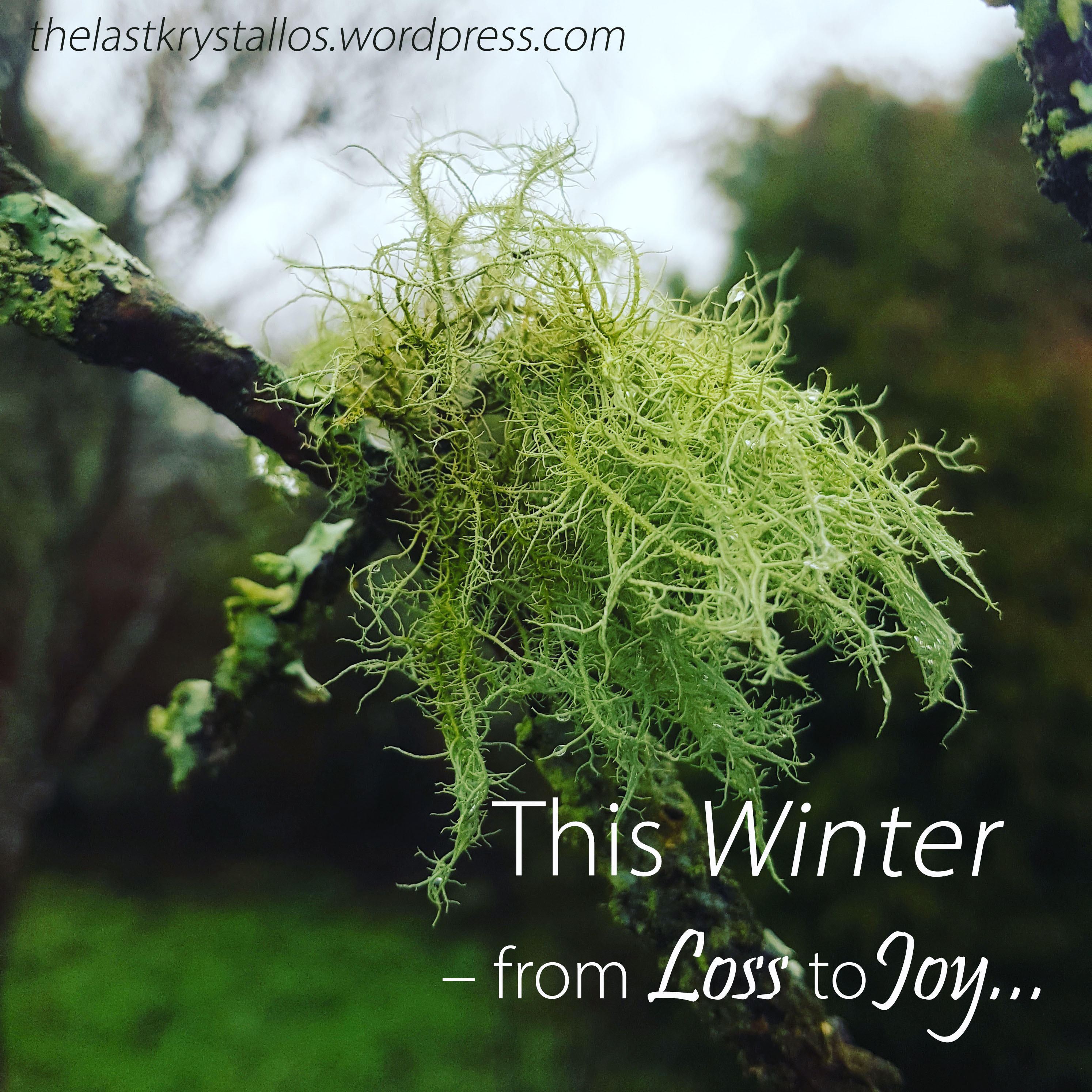 This Winter - from Loss to Joy... - The Last Krystallos