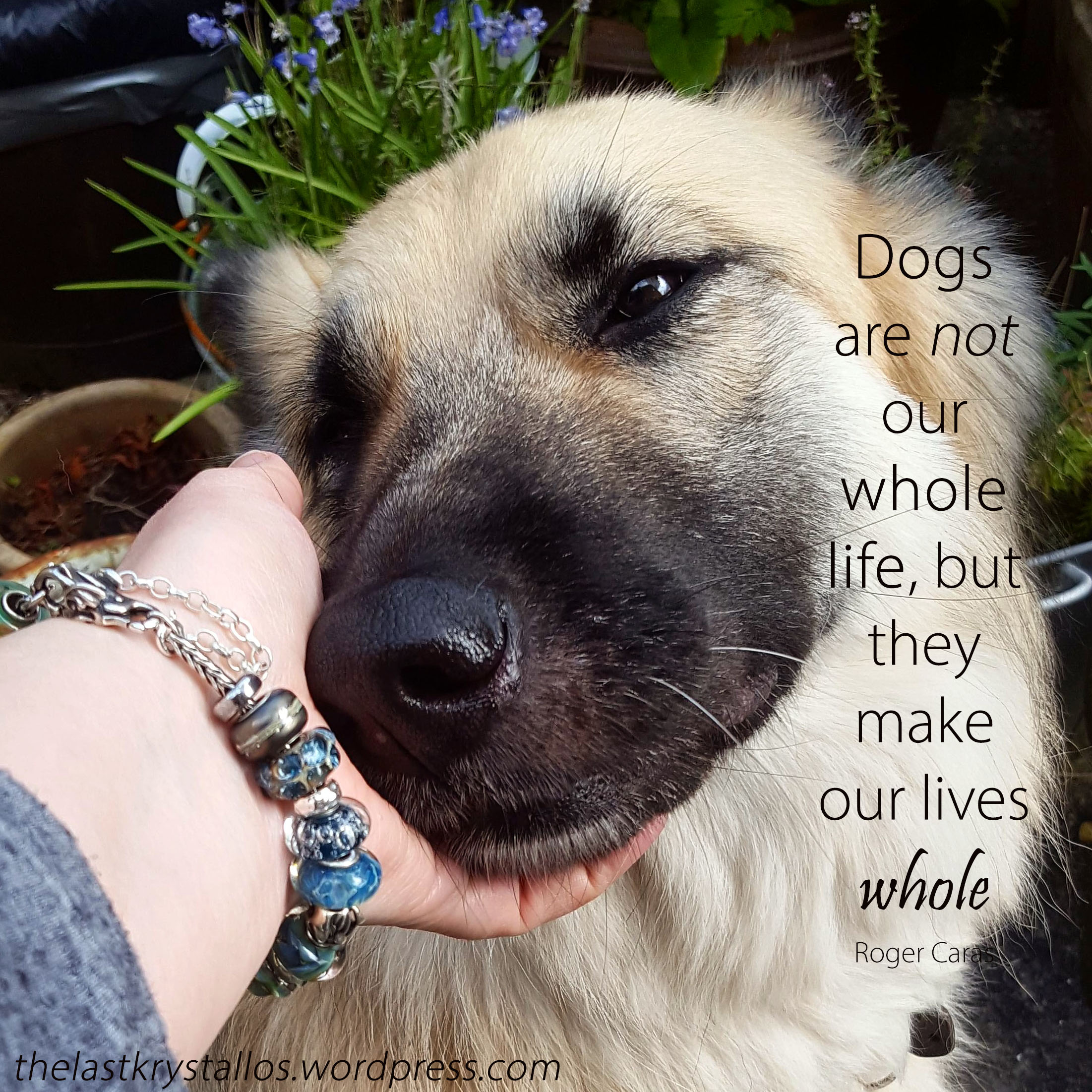 Dogs are not our whole life, but they make our lives whole - Roger Caras - The Last Krystallos
