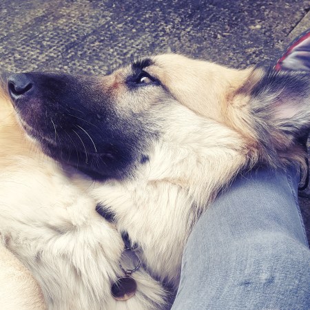 Kira and me April 2019 - the last krystallos