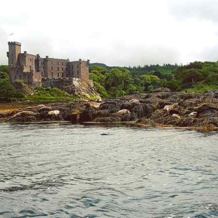 Dunvegan Castle and Seal Colony - The Last Krystallos