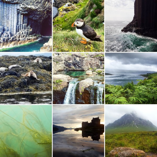 Fingal's Cave, puffins, Dunvegan seals, fairy pools, Kylerhea, Eilean Donan, Buachaille Etive Mor - TLK