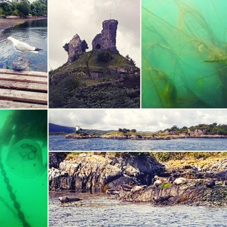 Portree, Kyleakin, Underwater and seals in Kyle of Lochalsh - The Last Krystallos