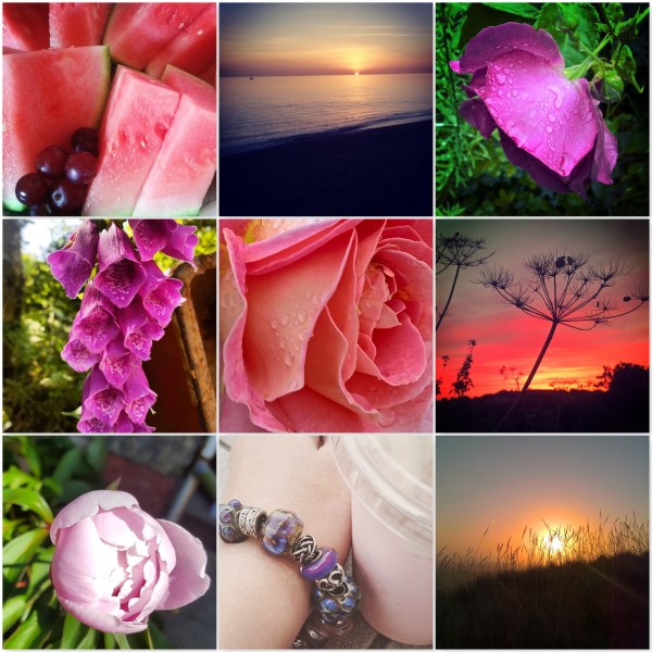 Magical Colours of Summer - pink - rose - sunset - the last krystallos