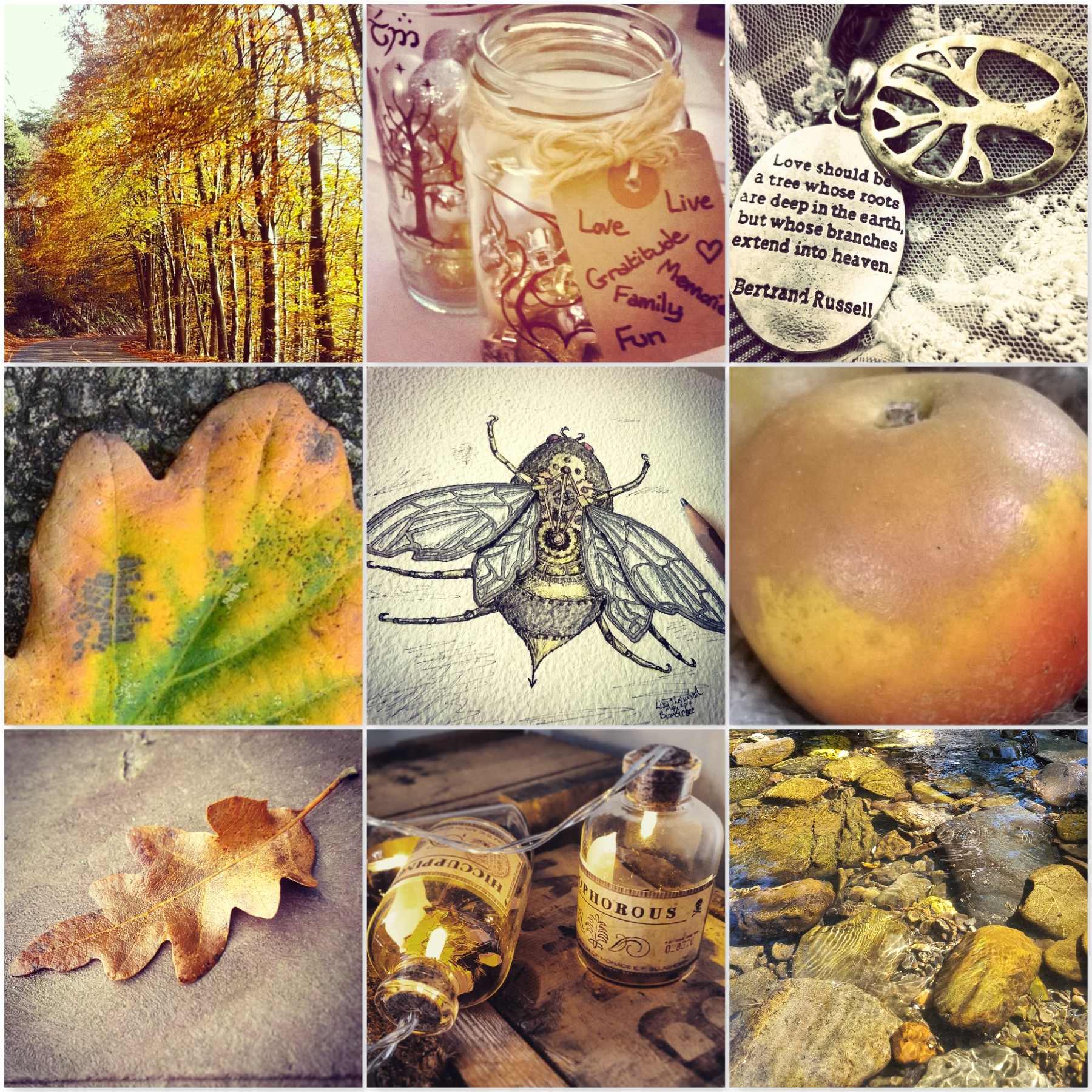 brass photos - yellow leaves, fairy lights, brass necklace, yellow leaf, steampunk bumblebee, russet apple, oak leaf, fairy lights in bottle, river bed in sunlight, for The Last Krystallos blog