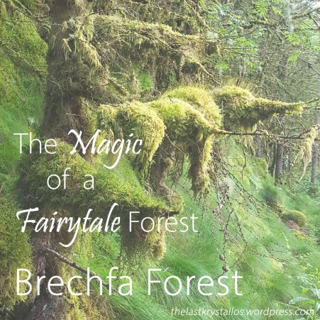 The Magic of Fairytale Forests – Brechfa Forest - The Last Krystallos