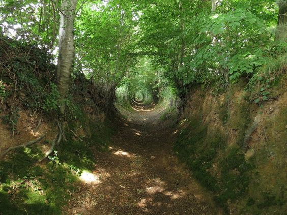a sunken lane in La Meauffe, France, once a site of a 1944 World War II battle - although dating back further. Taken by Romain Bréget