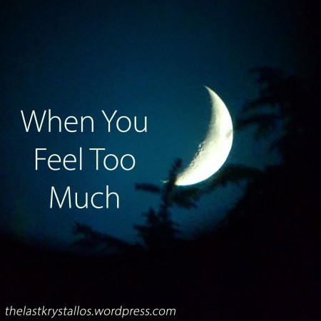 When You Feel Too Much - The Last Krystallos