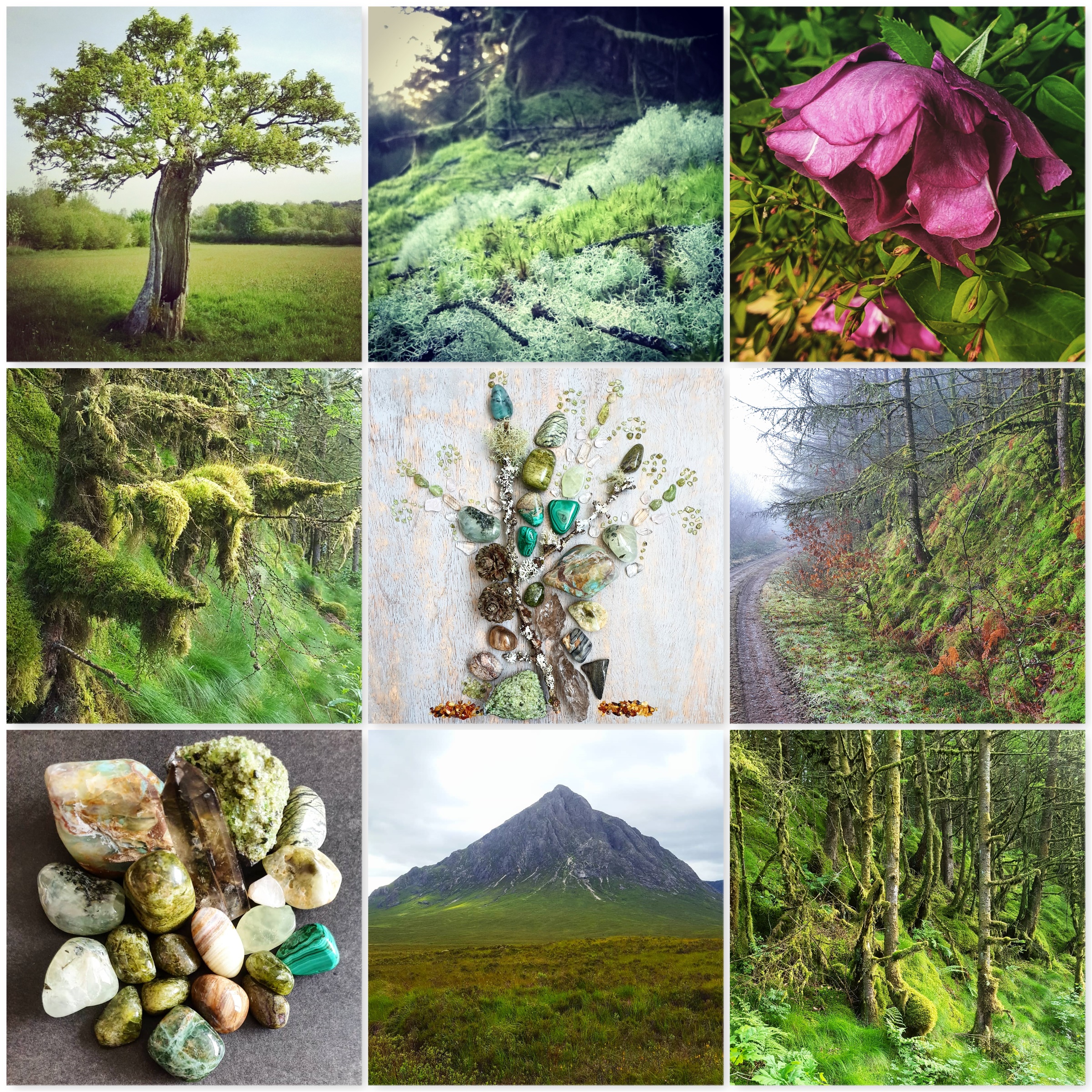 colours, earth, tree, forest, moss, green jewels, crustal grid, rose, crystals, mountain, the last krystallos