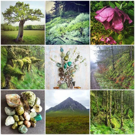 colours, earth, tree, forest, moss, green jewels, crustal grid, rose, crystals, mountain, the last krystallos
