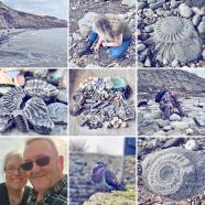 Lyme Regis Fossils Ammonites And Fun The Last Krystallos Lyme Regis Fossils Ammonites And Fun The Last Krystallos